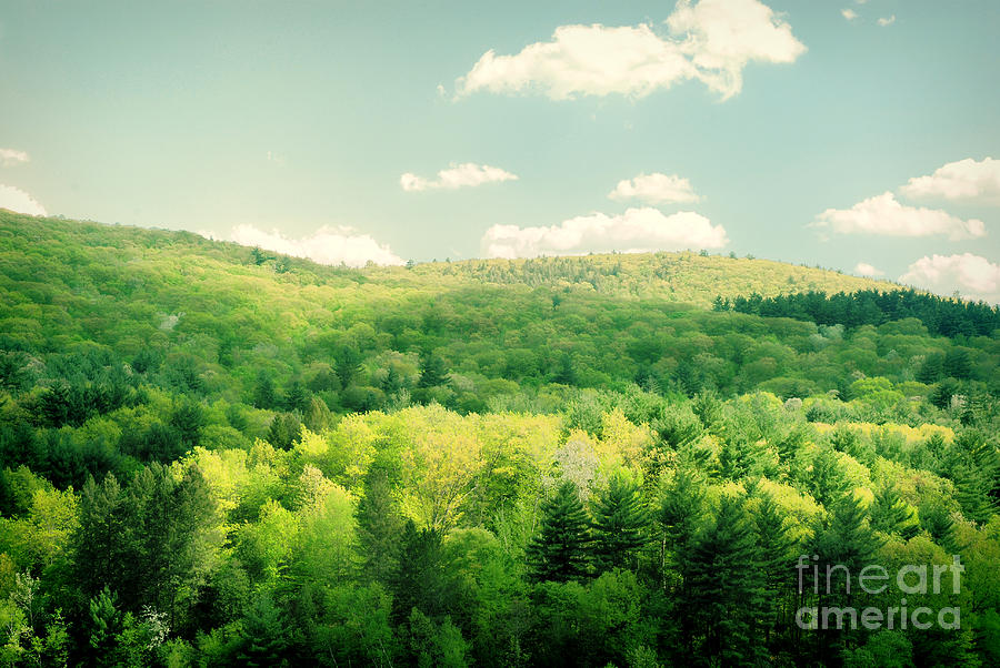 Mountain Photograph - Connecticut by HD Connelly