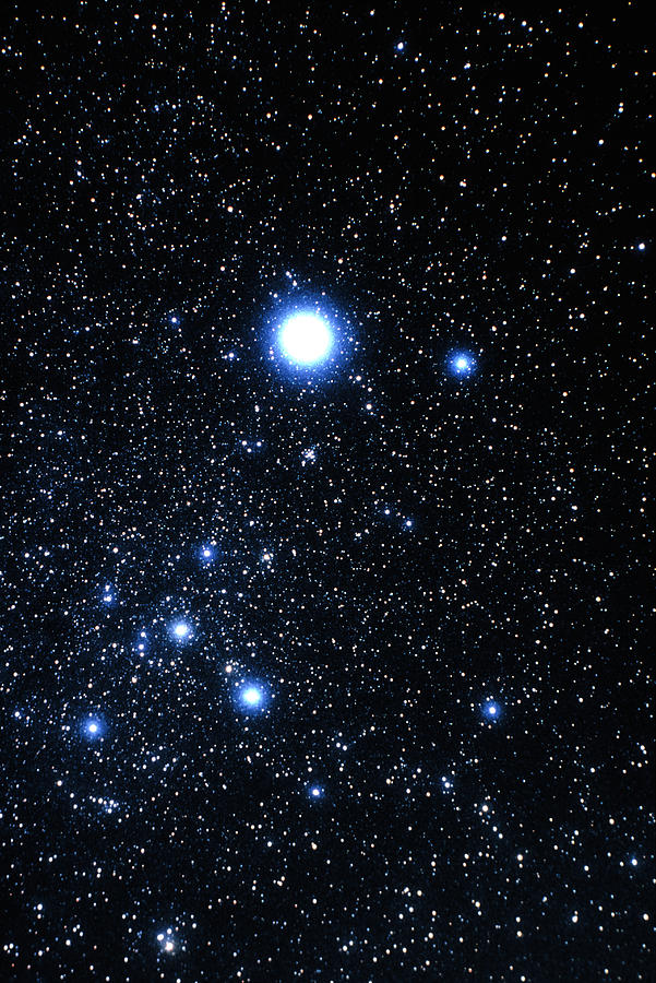 Яркая звезда в созвездии большого пса. Сириус Созвездие. Сириус звезда в созвездии. Constellation canis Major. Сириус Хаббл.
