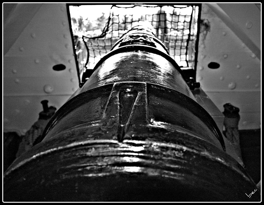 Constitution Cannon Photograph by Bruce Carpenter
