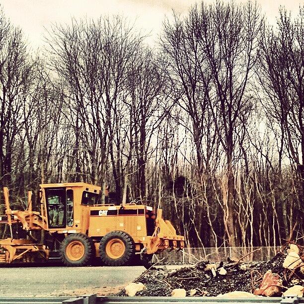 Tree Photograph - Construction On The #nj Turnpike by Lissette Padilla