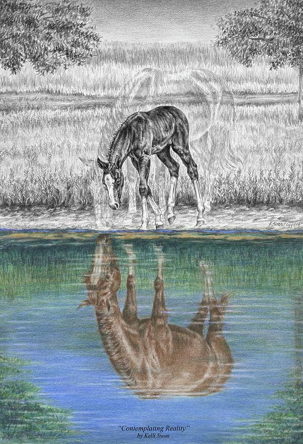 Contemplating Reality - Mare and Foal Horse Print Drawing by Kelli Swan