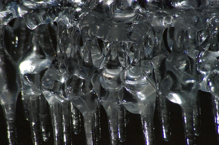 Ice Photograph - Conversation by Joseph Yarbrough