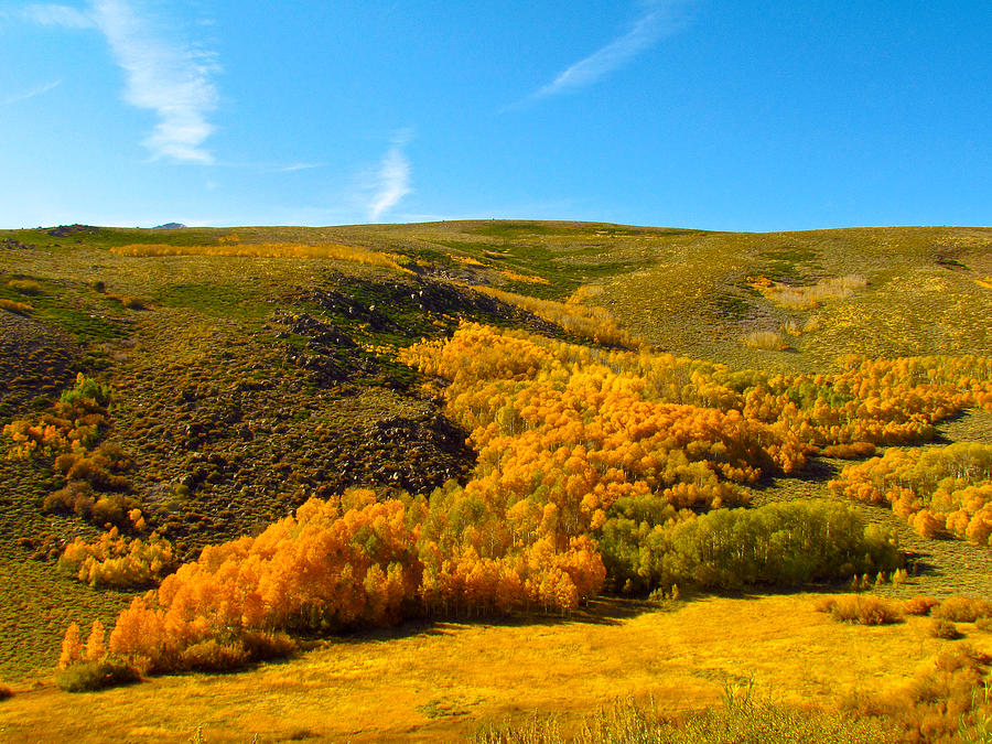 Conway Summit Fall Color Photograph by Tony and Kristi Middleton