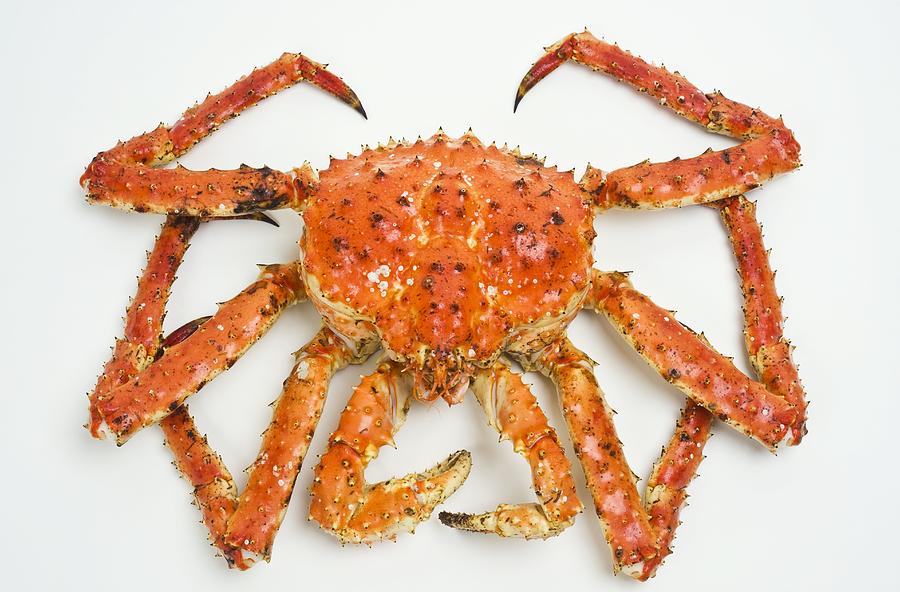 Cooked Red  King  Crab  Photograph by David Nunuk