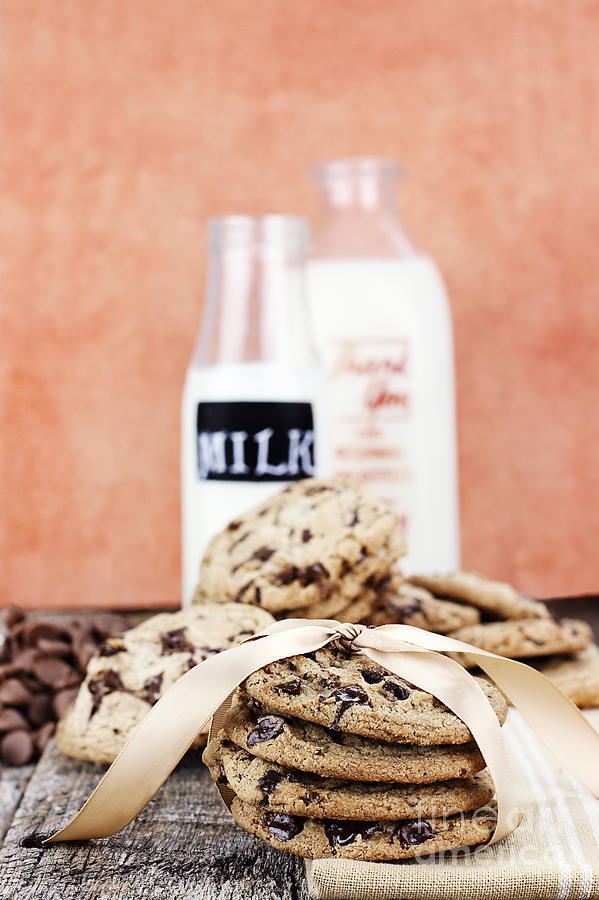 Cookies and Cream Photograph by Stephanie Frey