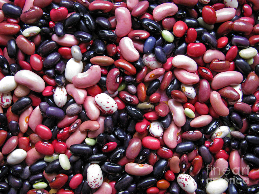 Thanksgiving Photograph - Cool Beans #01 by Ausra Huntington nee Paulauskaite