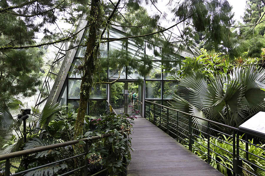 Cool house inside the National Orchid Garden in Singapore Photograph by Ashish Agarwal
