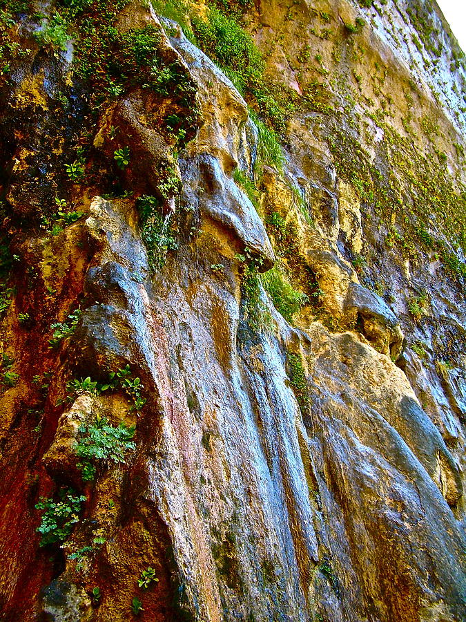 Cool Water by Frank SantAgata Cool Water by Frank SantAgata