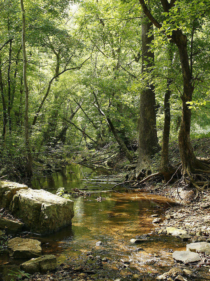 Coonville Creek Photograph by Garry McMichael