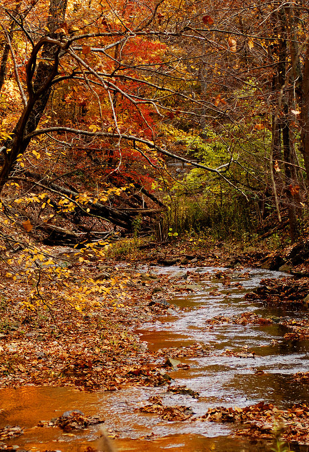 Copper Creek Photograph - Copper Creek by Randall Branham