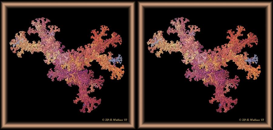 Coral Fractal - Gently cross your eyes and focus on the middle image Photograph by Brian Wallace