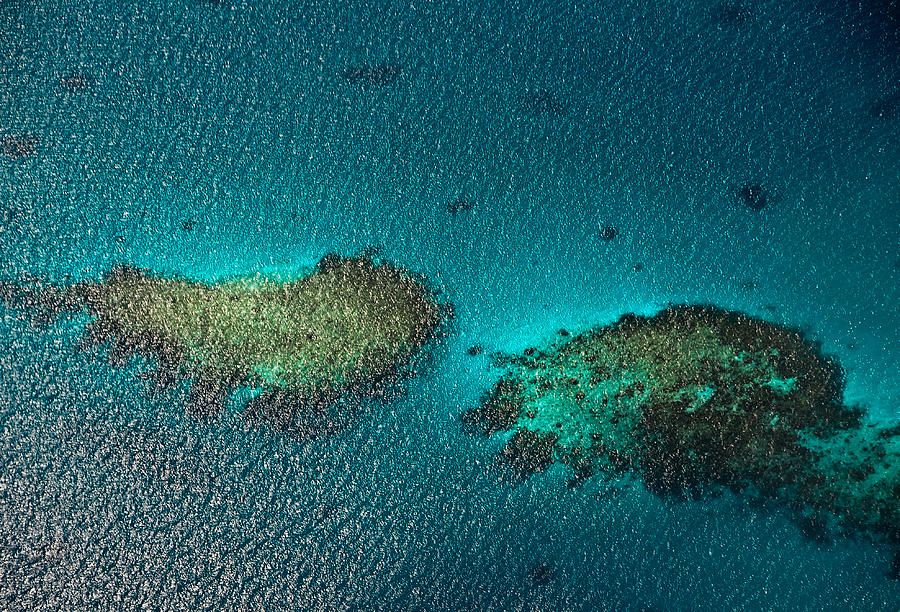 Nature Photograph - Coral Reefs. Aerial View. Maldives by Jenny Rainbow