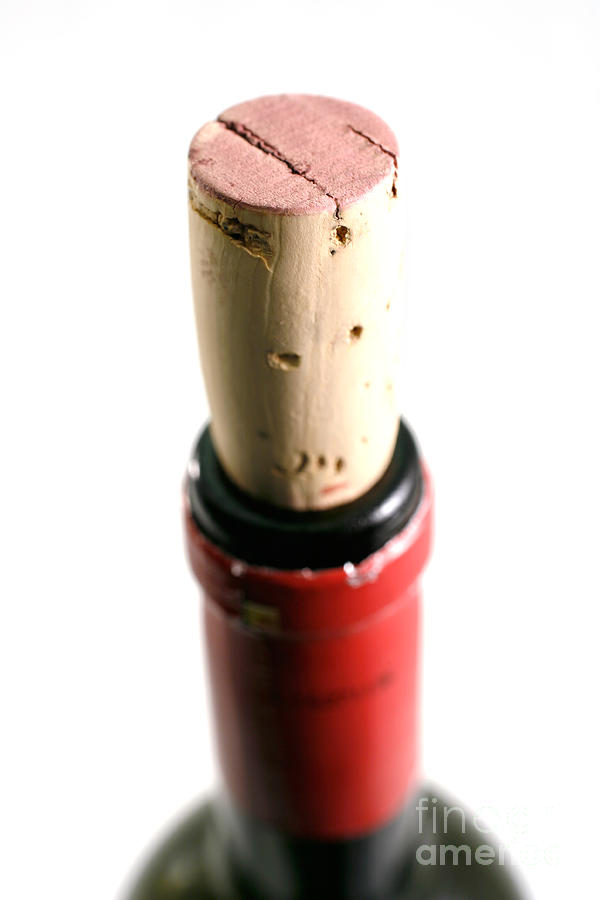 Cork closeup Photograph by Gaspar Avila