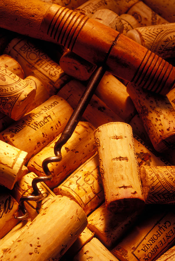 Wine Photograph - Corkscrew and wine corks by Garry Gay