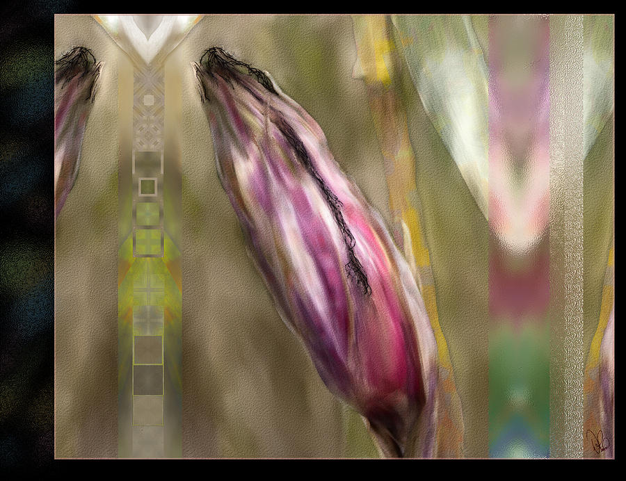 Corn Husk Digital Art by Donna Robichaud Fine Art America