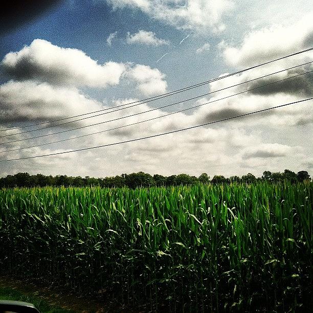 Summer Photograph - #cornfield #crops #country #sky #clouds by Lori Lynn Gager