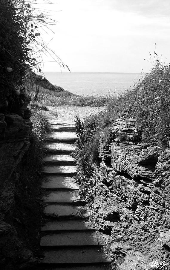 Cornwall Steps Photograph by Laura Hol Art