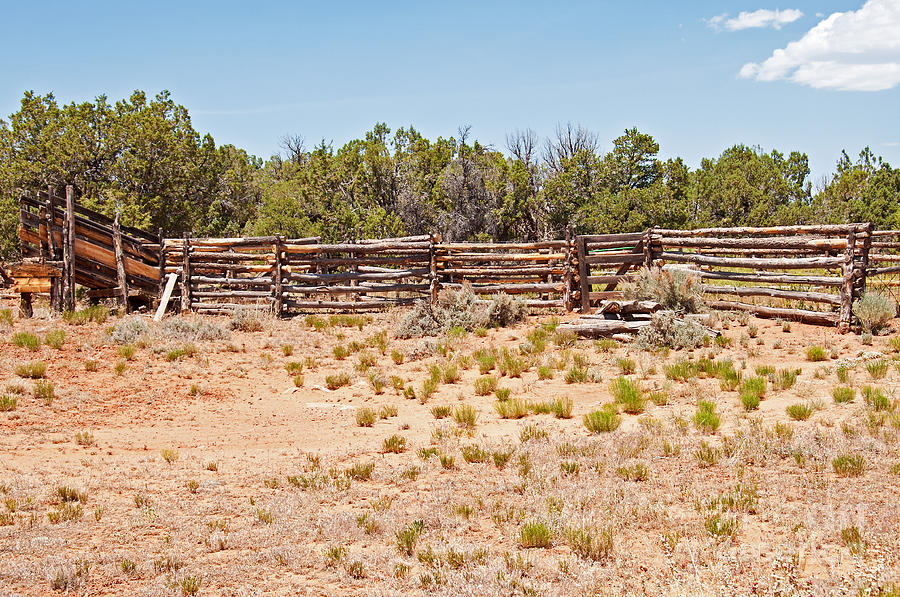 Corral Photograph by Bob and Nancy Kendrick