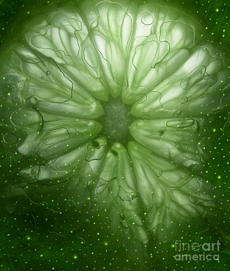Space Photograph - Cosmic Lime by Janeen Wassink Searles