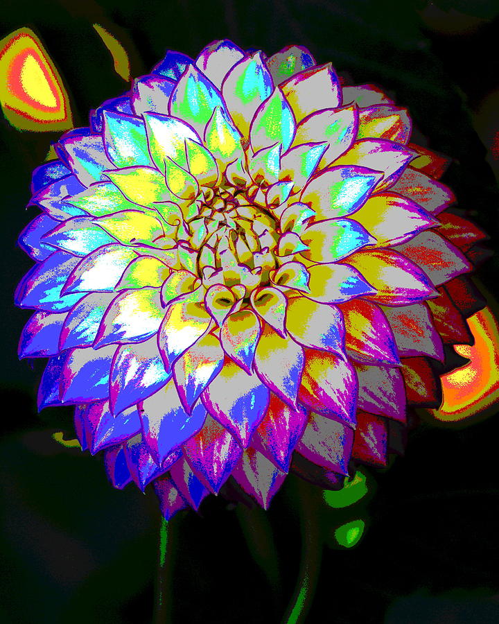 Flower Photograph - Cosmic Natural Beauty by Ben Upham III