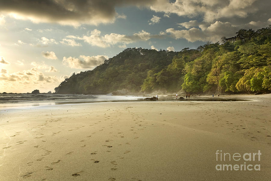 Jungle Photograph - Manuel Antonio in Late Afternoon, Costa Rica by Matt Tilghman