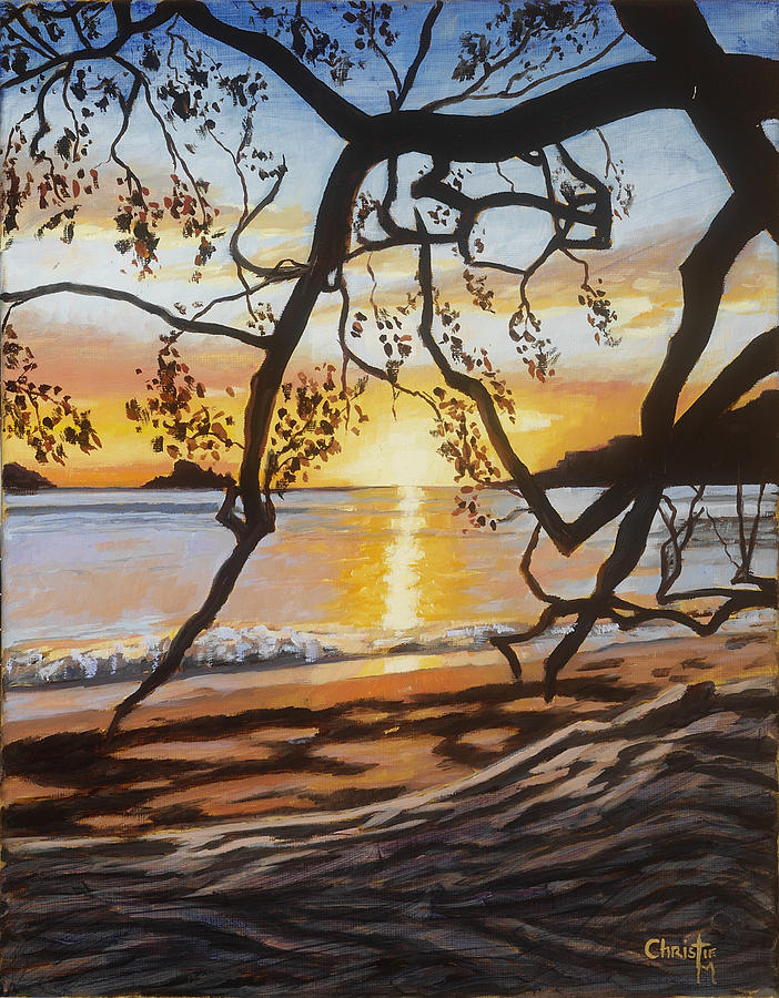 Costa Rican Sunset Painting by Christie Michael