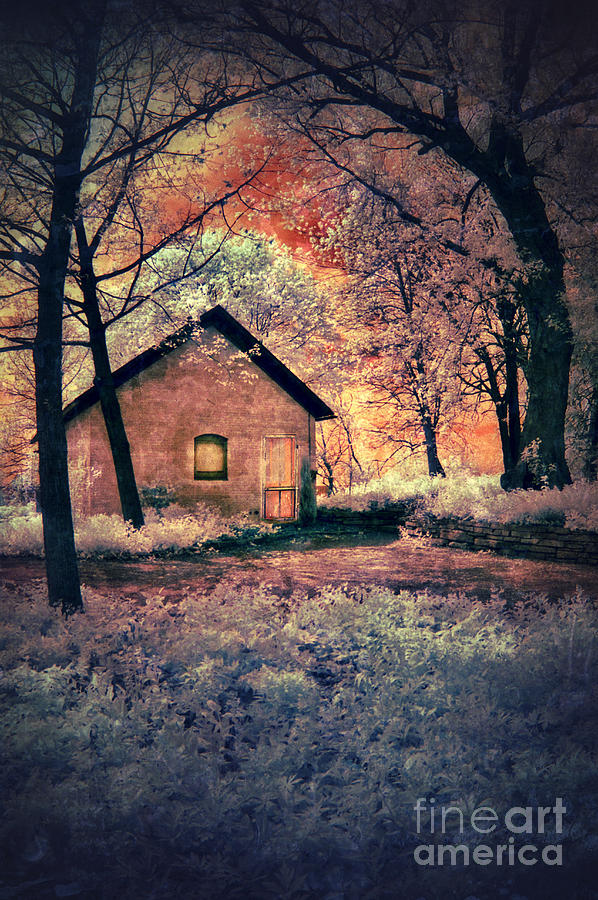 Cottage in the Woods Photograph by Jill Battaglia