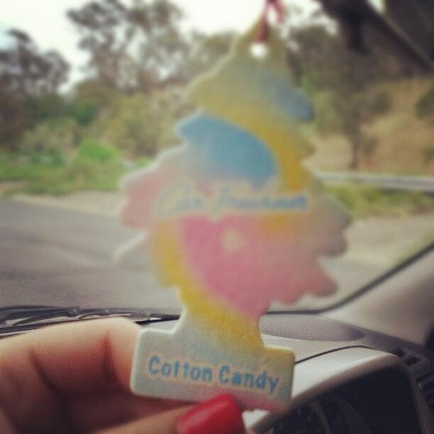 Cotten Candy Cary Freshner :) Photograph by Ashley Chambers