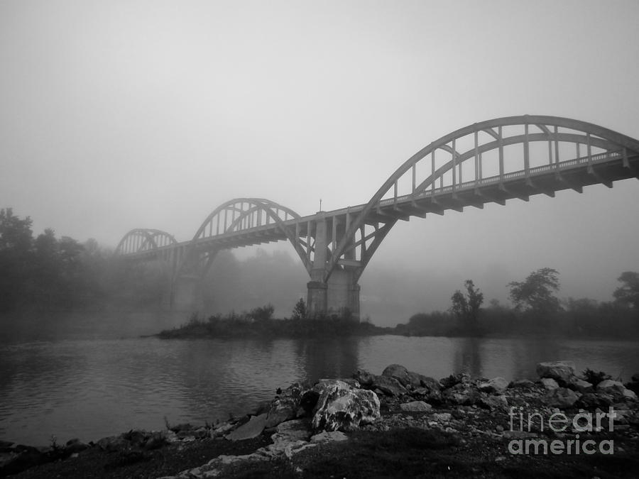 Cotters Fog Photograph by Tammy Chesney