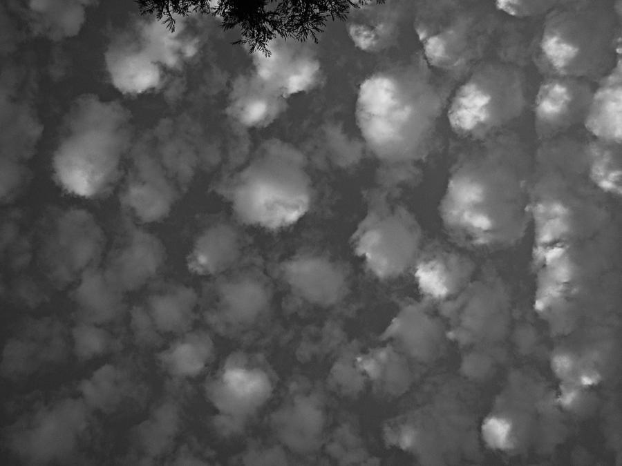 Cotton Ball Clouds 2 Photograph by Nick Kloepping