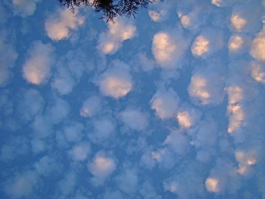 Cotton ball Clouds Photograph by Nick Kloepping
