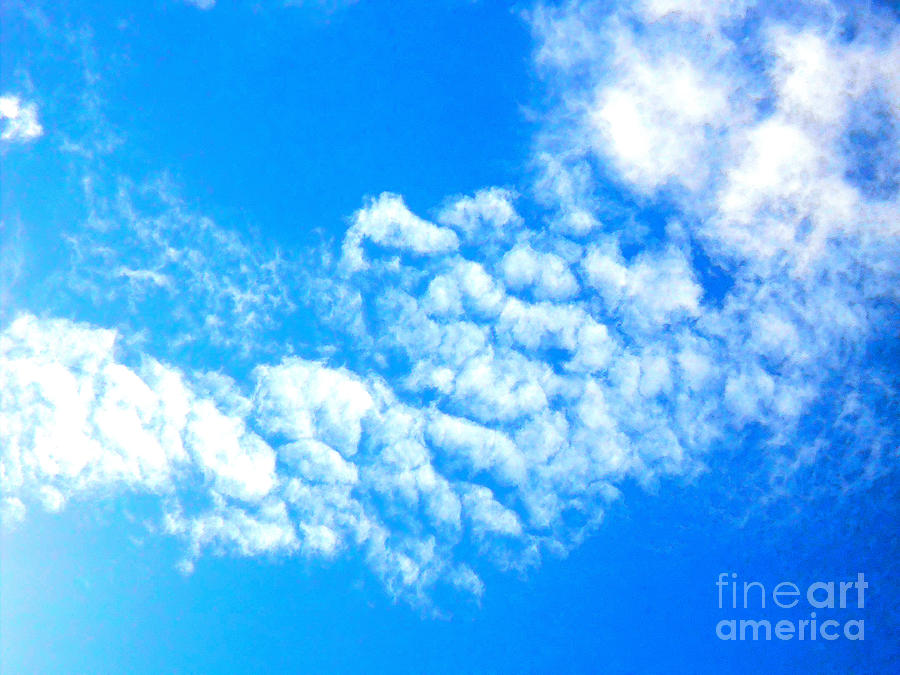 Sky Photograph - Cotton Candy Sky by Kimberly E Klein