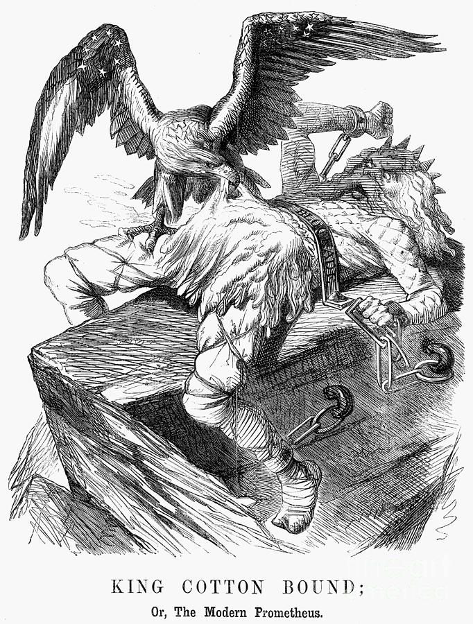 Eagle Photograph - Cotton Crisis, 1861 by Granger
