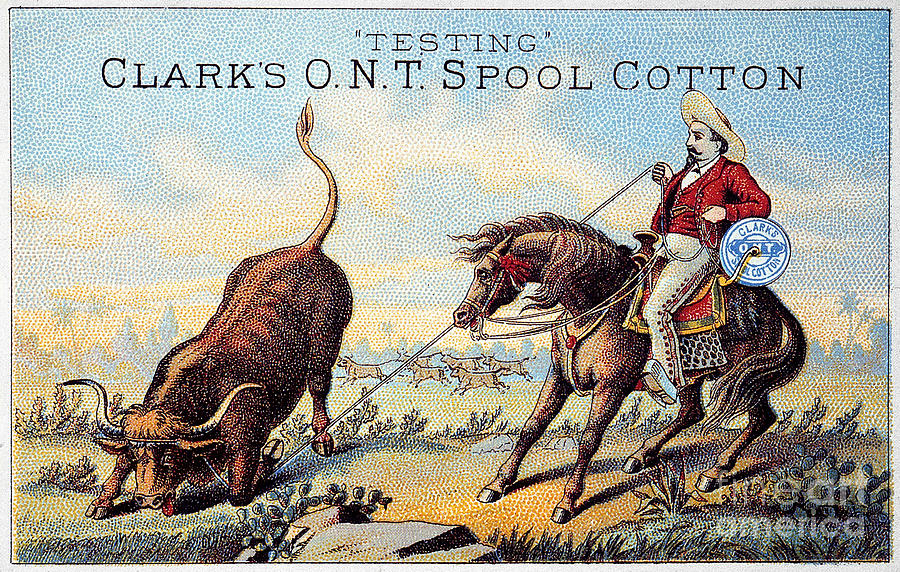 Bull Photograph - Cotton Thread Trade Card by Granger