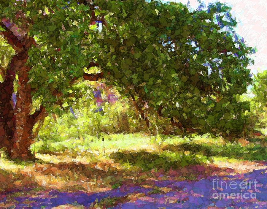 Cottonwood Tree and shade Digital Art by Annie Gibbons
