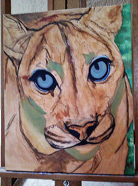 Cougar - WIP Painting by Donna Proctor