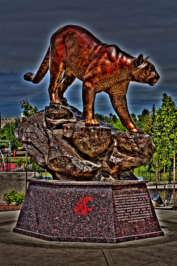 Washington State University Photograph - Cougar Pride by David Patterson