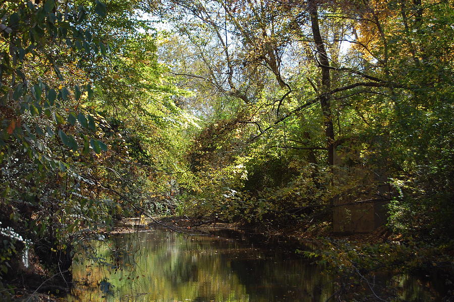 Creek Photograph - Counrey Creek 3 by Beverly Hammond