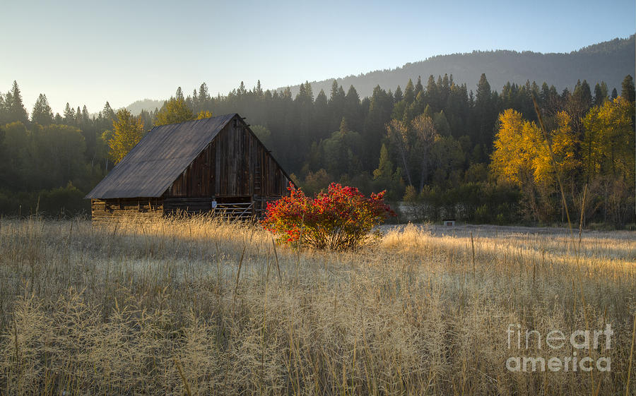 Country Autumn Photograph by Idaho Scenic Images Linda Lantzy