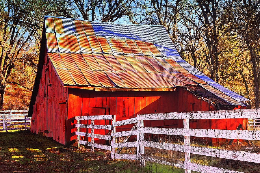 Country Barn Photograph by Floyd Hopper