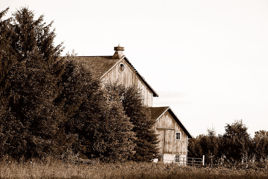 COUNTRY BARN in SEPIA Photograph by Janice Adomeit