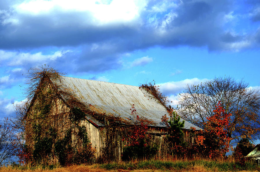 Country Barn Photograph by La Dolce Vita