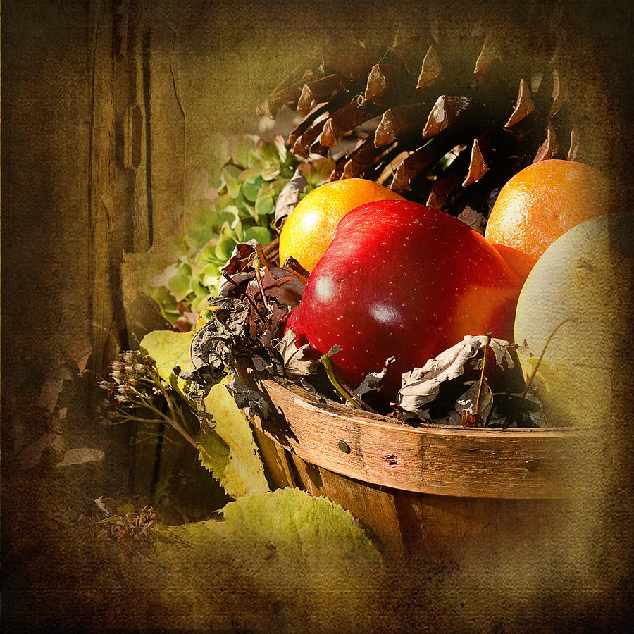 Country Basket of Fruit Photograph by Trudy Wilkerson