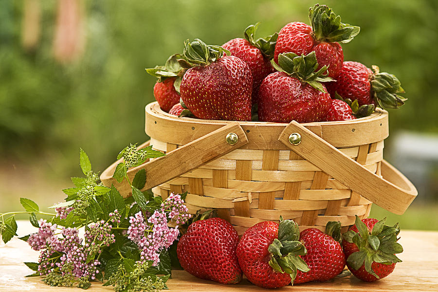 Country Basket Strawberries Photograph by Trudy Wilkerson