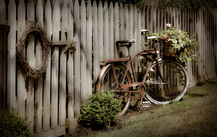 Country Bike Photograph by Michelle Joseph-Long
