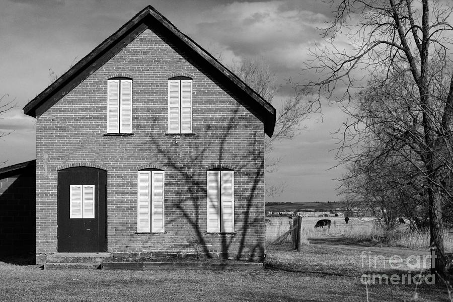 Tree Photograph - Country Brick House White Shutters BW by James BO Insogna
