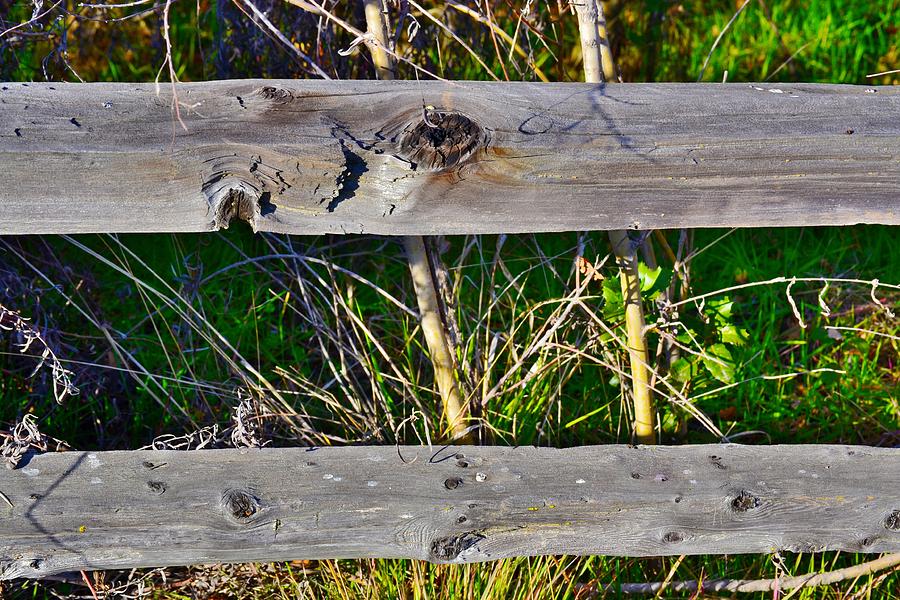 Farm Photograph - Country Fence by Bill Owen