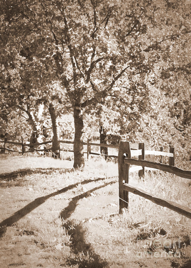 Country Fence In Sepia - Digital Painting Photograph