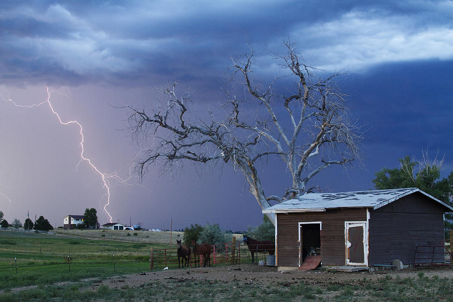 Country Horses Lightning Storm NE Boulder County CO  63 Photograph by James BO Insogna