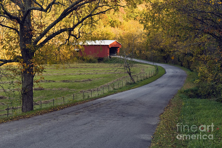 Fall Photograph - Country Lane - D007732 by Daniel Dempster